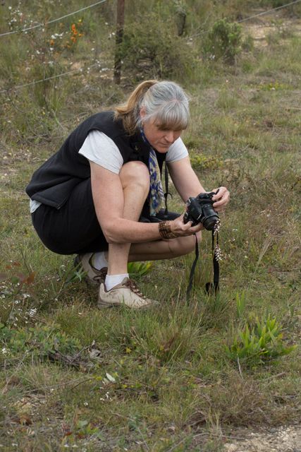 Chrissy photographing a Grass Trigger-plant