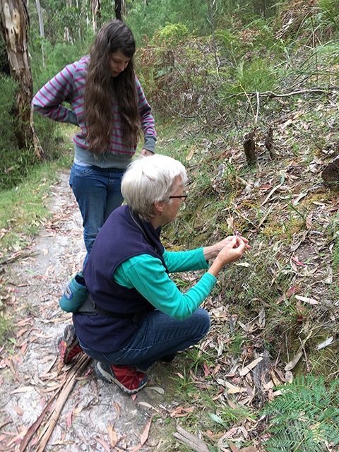 Alison shows Belinda the mechanism of the Trigger Plant