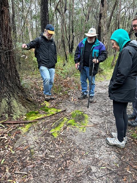 Paul, Terry and Sue looking at some of the mosses at the base of an Ironbark