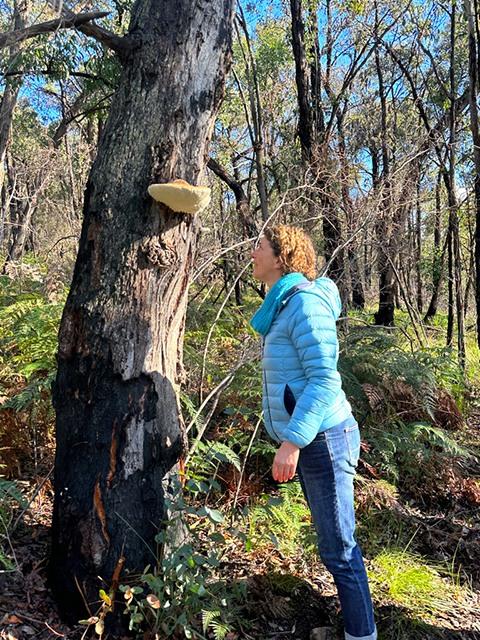 TJ admires bracket type fungi on tree trunk