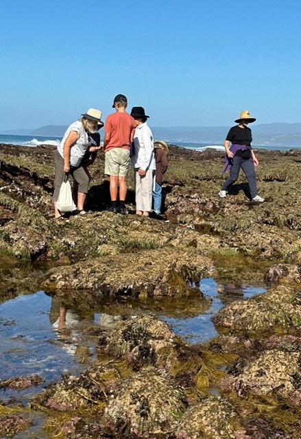 Group on rocks