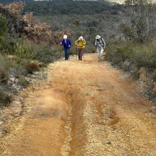 Walking up the hill - Haggarts track