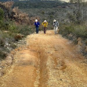 Walking up the hill - Haggarts track