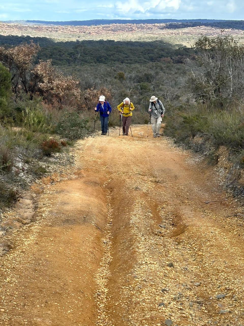 Walking up the hill - Haggarts track